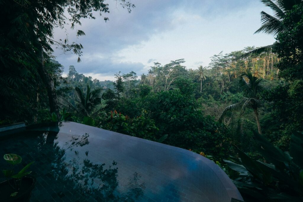 Private pool surrounded by tropical greenery